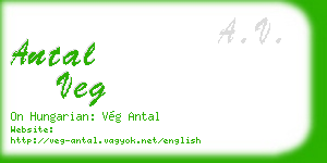 antal veg business card