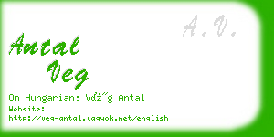 antal veg business card